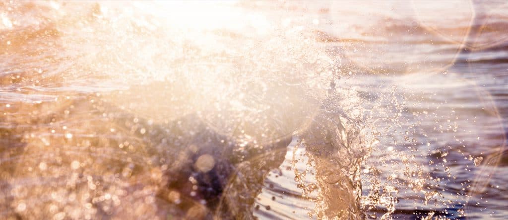 Patient Info Eye Care Partners And Leaders