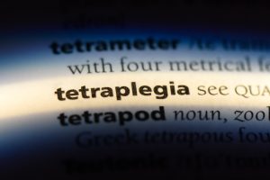 The word "tetraplegia" in a dictionary 