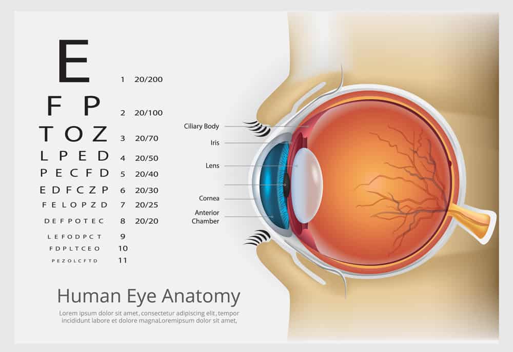 Best LASIK Alternatives Los Angeles PRK ICL RLE Laser Eye Center