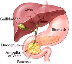 Laparoscopic Gallbladder Surgery Reno