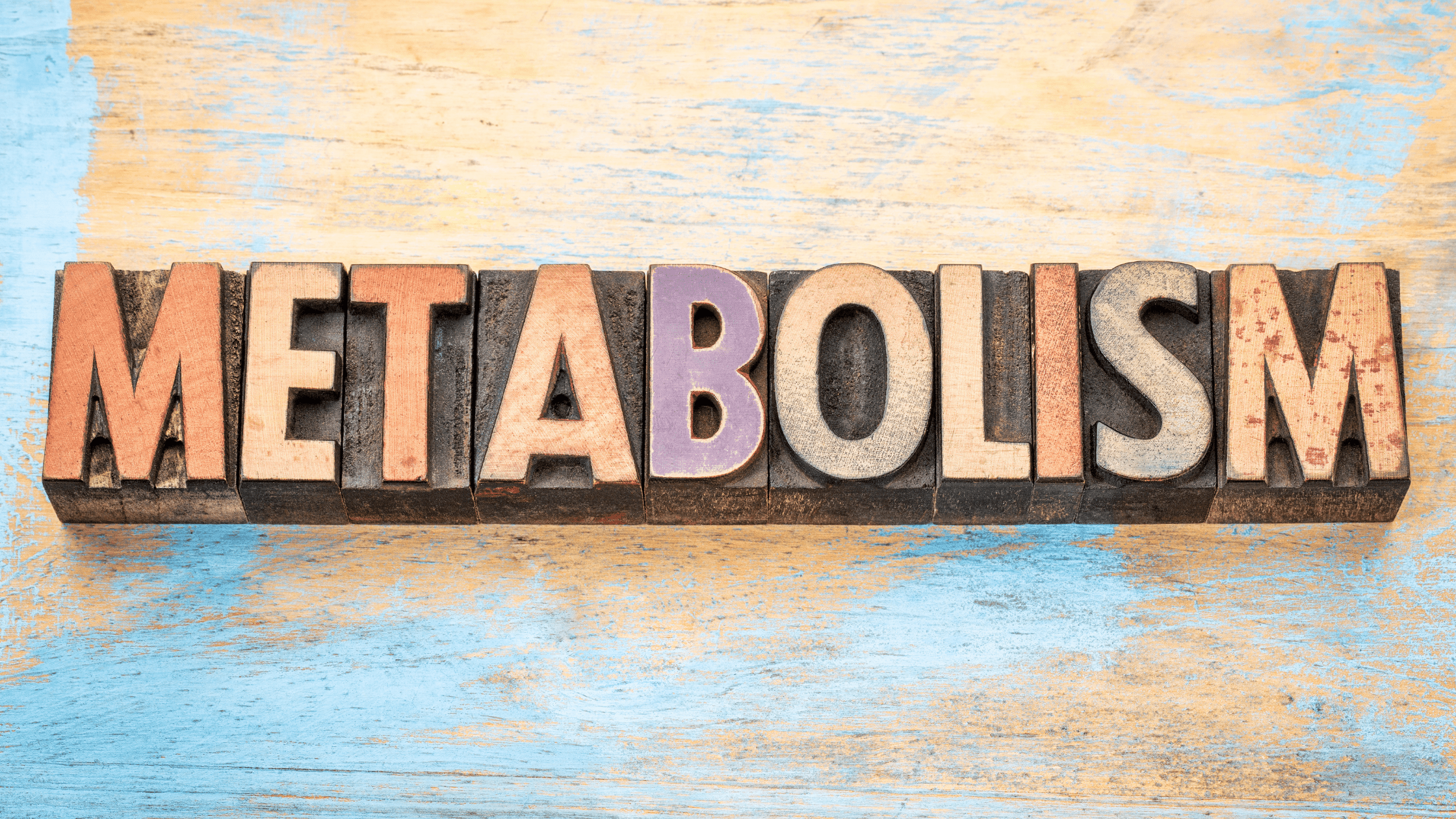 How does Bariatric Surgery Affect Metabolism? Nevada Surgical