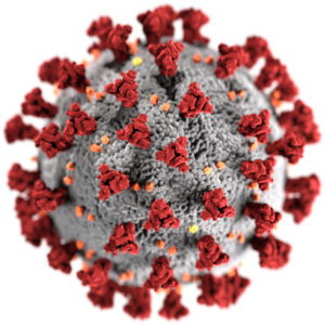 Coronavirus affects Male Fertility