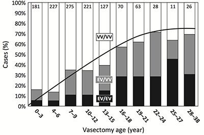 Vasectomy Reversal Success Rates