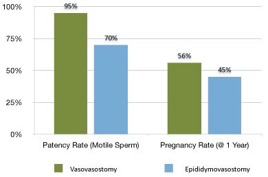 Vasectomy Reversal Patency Success Rate