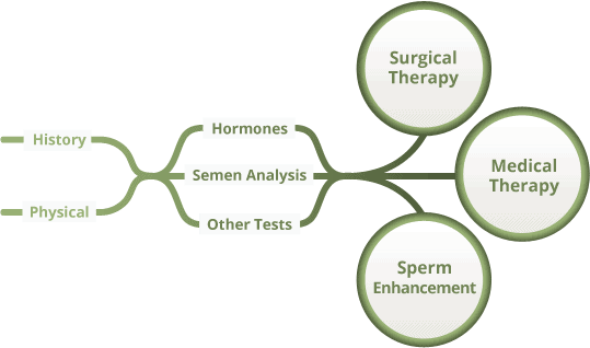 PATHWAY FOR MALE INFERTILITY EVALUATION