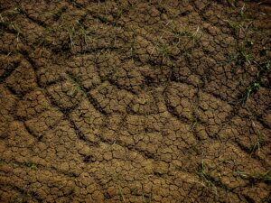 Barren soil